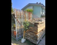 IMG20230720104908