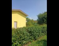 IMG20230720105040