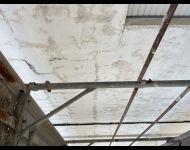 1.IMG 0586